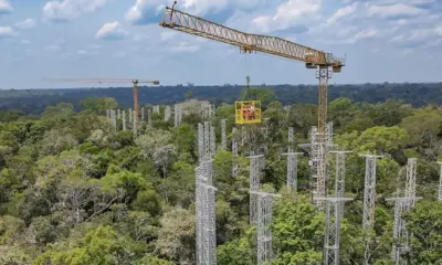 Projeto transforma floresta em laboratório de mudança climática no AM