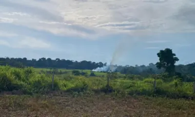 Justiça garante permanência de famílias em Terra Indígena de Rondônia
