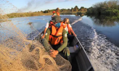 Tocantins proíbe pesca até fevereiro de 2026; infrações têm multa de R$ 100 mil e prisão