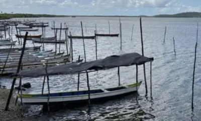 Amazonas tem quase mil licenças de pescadores canceladas para prevenir fraudes