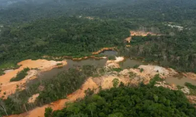 PF bloqueia R$ 14 milhões em operação contra garimpo ilegal em Roraima