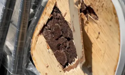 Cocaína negra acende alerta sobre uso do Amazonas como rota de exportação