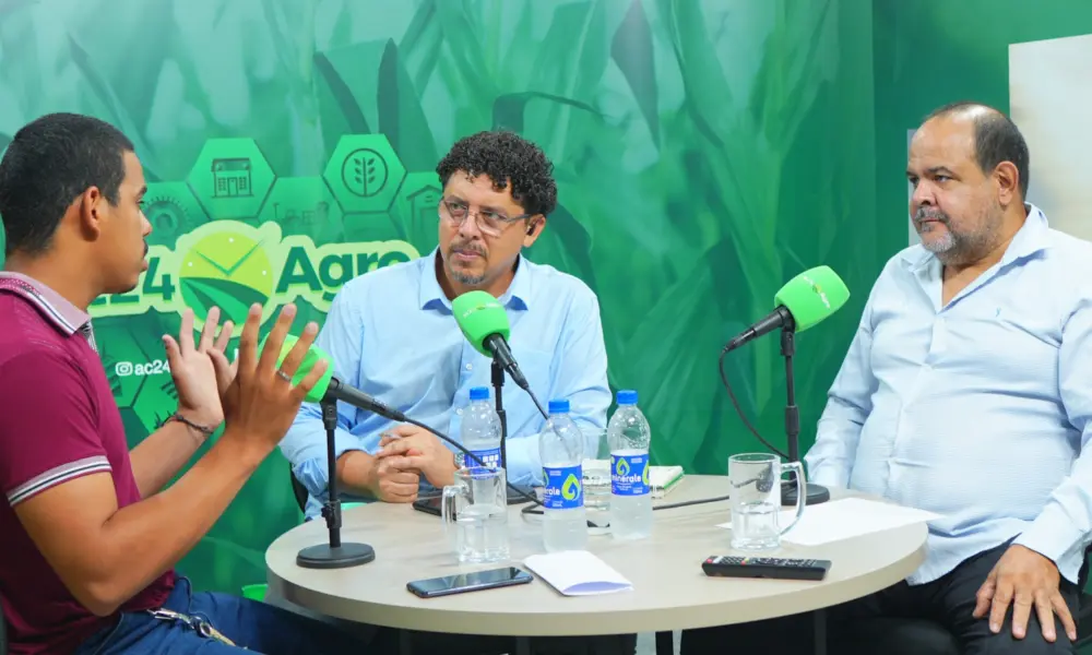 Inteligência Artificial desenvolvida no Acre prevê safra ao contar quantidade de castanhas dentro do ouriço