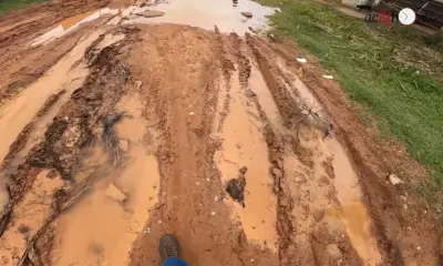 Prestes a receber novos moradores, Rosa Linda sofre com falta de cuidado e infraestrutura