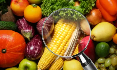 Acre ainda não tem lei estadual de segurança alimentar, mostra IBGE