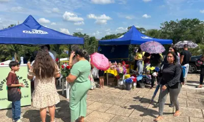 Comércio de flores e velas movimenta cemitérios na capital