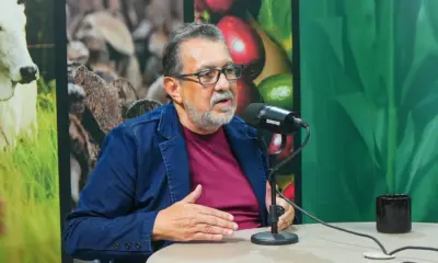 Economista classifica como erro atração de indústria de castanha da Bolívia para o Acre