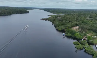 Noruega anuncia US$ 3 bi para fundo de florestas do governo Lula