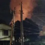 b8ab339e-3ddd-4395-a8f1-1b08b952daf5-1-mp4;5979c5f6-03dd-49e2-b979-073de597b419-1-mp4