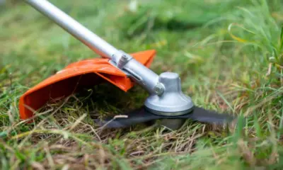 Homem morre atingido por lâmina de roçadeira em Rodrigues Alves