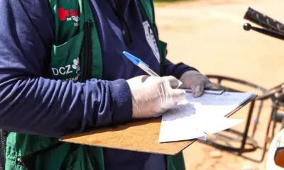 Rio Branco atinge 80% de meta da campanha antirrábica 2025