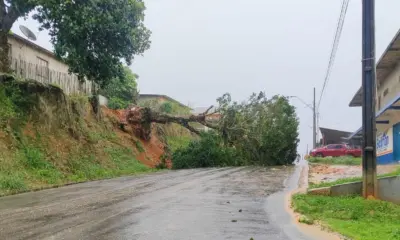 Tempestade derruba motocicleta e árvore em Cruzeiro do Sul