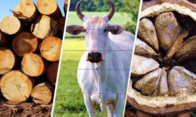 Seplan lança boletim que analisa dados de exportação e importação do Acre