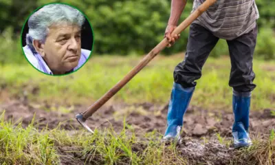 Bem sucedido, primeiras moedas ganhas por Betão vieram ao capinar