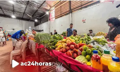 Mercado Elias Mansour oferece opções baratas para a ceia de Natal