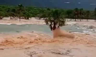 Polícia investiga rompimento de barragem que levou à retirada de ribeirinhos no Tocantins