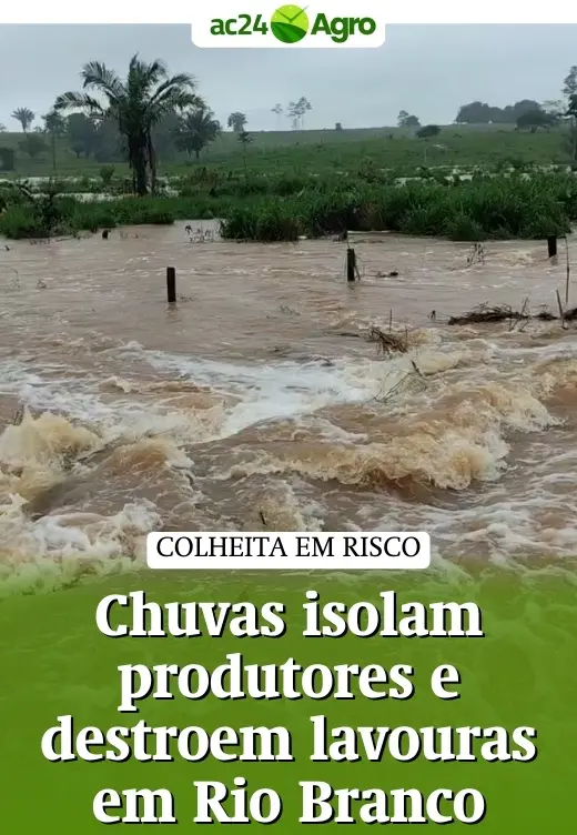 Chuvas isolam produtores e destroem lavouras em Rio Branco