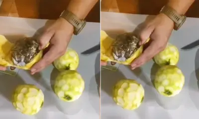 Cinco mulheres são presas ao entrar com drogas dentro de laranjas no presídio