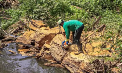 Rio Branco tem novas regras de licenciamento ambiental a partir de hoje (1º)