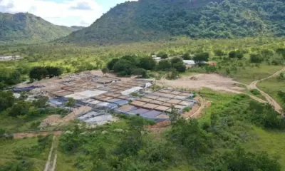 MPF cobra ação do Brasil e da Guiana contra garimpo ilegal