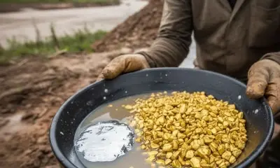 Femarh suspende licenças para extração de ouro em Roraima após recomendação do MPF