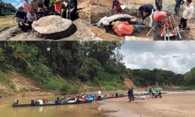 Expedições científicas revelam descobertas inéditas na Amazônia e ampliam conhecimento sobre a região