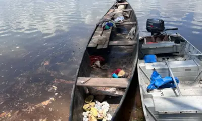 PM do Tocantins resgata 3 mil filhotes de tartaruga durante operação ambiental em Pium