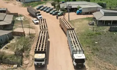 Vaqueiro contratado pelo Ibama é morto em emboscada durante operação na Terra Indígena Apyterewa