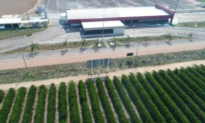 Tocantins e Rondônia vão receber mais de R$ 179 milhões para modernização de aeroportos