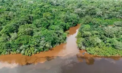 MPF processa União e entes públicos por desastre ambiental causado por garimpo ilegal no Amapá