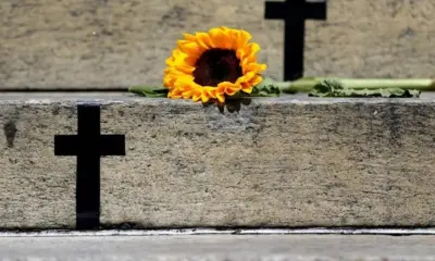 TJTO concede 4.786 medidas protetivas a mulheres em 2025 e lidera ranking nacional de celeridade