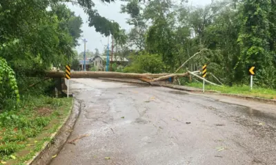 Chuva intensa provoca desmoronamentos e queda de árvores em Rio Branco