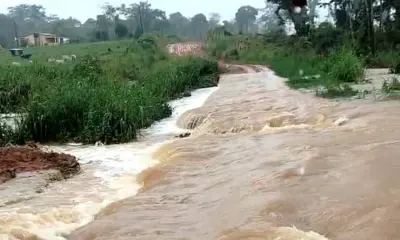 Lama, isolamento e exclusão: a rotina do agricultor da Capital
