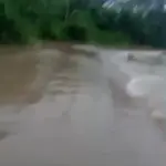 vid-20251227-wa0016-mp4;vid-20251227-wa0017-mp4