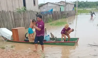 Transbordamento do rio Envira atinge áreas ribeirinhas e deixa famílias desalojadas em Feijó