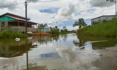 Cheia do Rio Juruá atinge 6 mil pessoas em Cruzeiro do Sul, aponta boletim