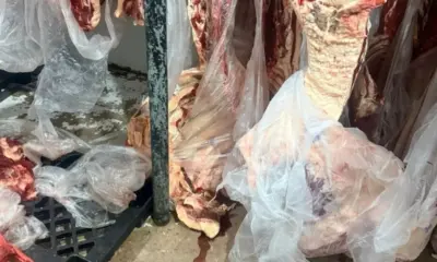 Quase duas toneladas de carnes impróprias para consumo são apreendidas em Sena Madureira