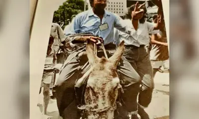 Nada mais atual que o folclórico Cafuringa