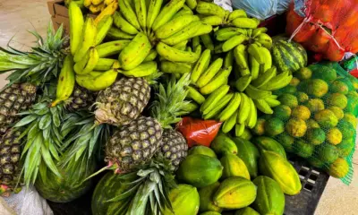 Prazo para credenciamento no PAA segue aberto até 14 de janeiro