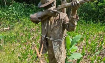 FEM planeja gastar até R$ 600 mil para recuperar espaço Plácido de Castro