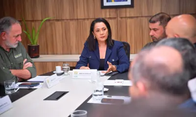 Mailza se compromete a refazer redação de decreto que protege indústria