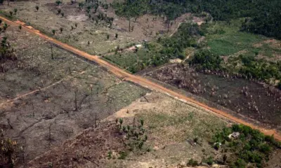 Investigação associa recorde de desmatamento em RO ao uso de máquinas adquiridas com emendas parlamentares