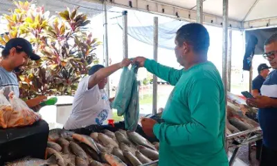 Com 180 toneladas, Feira do Peixe acontece de 1º a 3 de abril na capital
