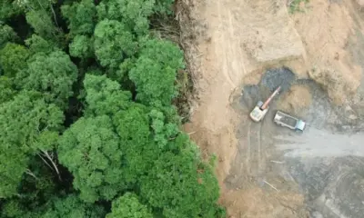 Desmatamento já altera clima da Amazônia e torna regiões mais quentes e secas, aponta estudo