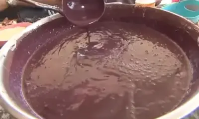 Cidade paraense acumula mortes por doença de Chagas após consumo de açaí