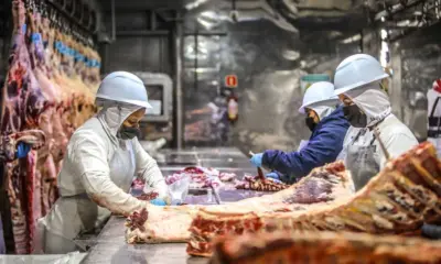 Peru, Emirados Árabes e Turquia concentram maior parte das exportações do Acre