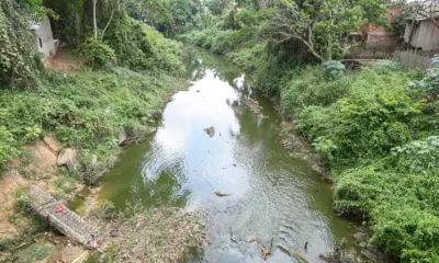 Igarapé São Francisco: especialista aponta colapso ambiental