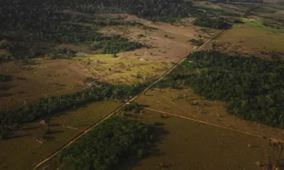 Afinal de contas, como eram as coisas por aqui?