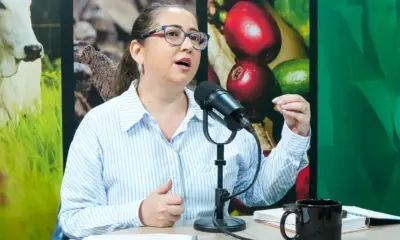 Especialista questiona bancos públicos na relação com produtor