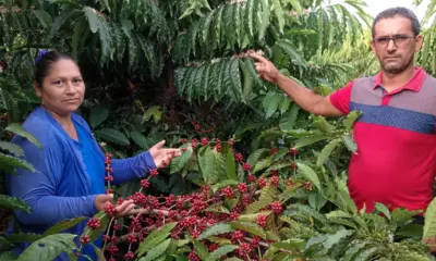 Renda de agricultor aumenta 79% após Complexo do Café do Juruá